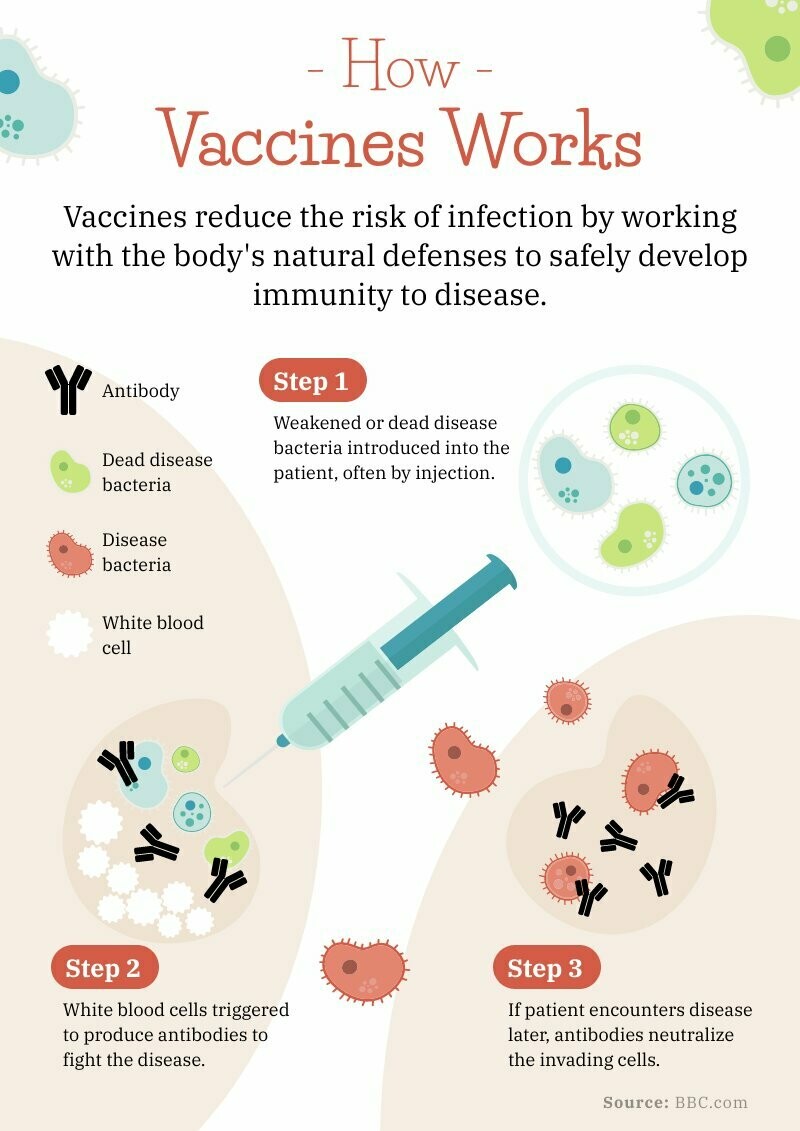 How Vaccines Work 2