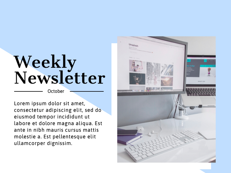weekly newsletter infographic