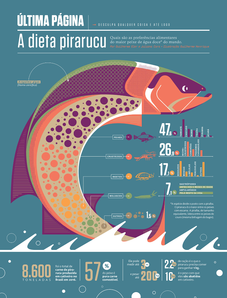 A Dieta Pirarucu infographic